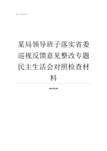 某局领导班子落实省委巡视反馈意见整改专题民主生活会对照检查材料省委全面落实