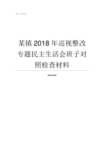 某镇2018年巡视整改专题民主生活会班子对照检查材料