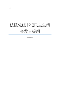 法院党组书记民主生活会发言提纲法院党组成员