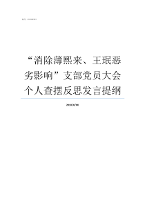 消除薄熙来王珉恶劣影响支部党员大会个人查摆反思发言提纲