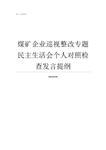 煤矿企业巡视整改专题民主生活会个人对照检查发言提纲召开巡视整改专题