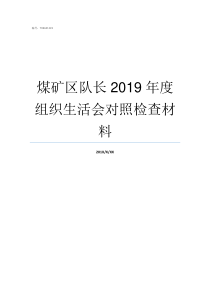 煤矿区队长2019年度组织生活会对照检查材料2019信湖煤矿塌陷区