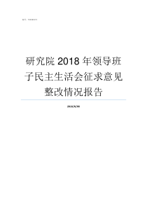 研究院2018年领导班子民主生活会征求意见整改情况报告2018年中国科学院上海