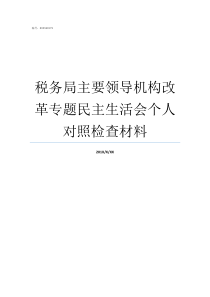 税务局主要领导机构改革专题民主生活会个人对照检查材料