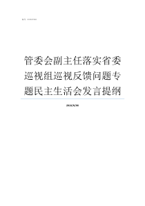 管委会副主任落实省委巡视组巡视反馈问题专题民主生活会发言提纲