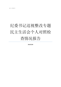 纪委书记巡视整改专题民主生活会个人对照检查情况报告