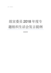 组宣委员2018年度专题组织生活会发言提纲2019法宣考试