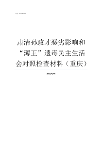 肃清孙政才恶劣影响和薄王遗毒民主生活会对照检查材料重庆