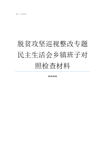 脱贫攻坚巡视整改专题民主生活会乡镇班子对照检查材料脱贫攻坚巡视整改情况