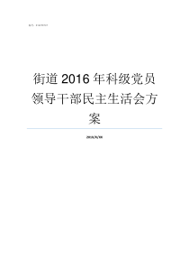 街道2016年科级党员领导干部民主生活会方案