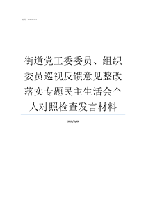 街道党工委委员组织委员巡视反馈意见整改落实专题民主生活会个人对照检查发言材料街道党工委委员级别