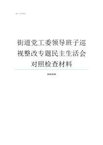 街道党工委领导班子巡视整改专题民主生活会对照检查材料街道党工委向巡察组汇报