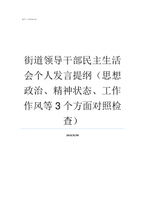 街道领导干部民主生活会个人发言提纲思想政治精神状态工作作风等3个方面对照检查党员领导干部及党员