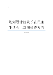 规划设计院院长在民主生活会上对照检查发言