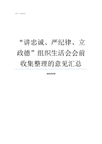 讲忠诚严纪律立政德组织生活会会前收集整理的意见汇总开展讲忠诚严纪律立政德