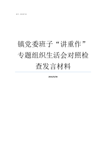 镇党委班子讲重作专题组织生活会对照检查发言材料