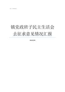 镇党政班子民主生活会去征求意见情况汇报洪岩镇党政班子