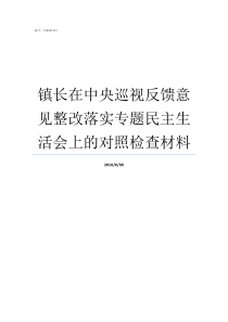 镇长在中央巡视反馈意见整改落实专题民主生活会上的对照检查材料十九届中央第二轮巡视反馈