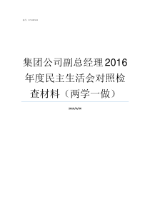 集团公司副总经理2016年度民主生活会对照检查材料两学一做