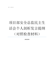 项目部安全总监民主生活会个人剖析发言提纲对照检查材料项目部安全总监职责