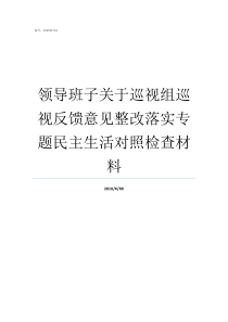 领导班子关于巡视组巡视反馈意见整改落实专题民主生活对照检查材料