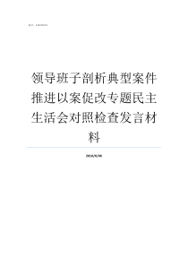 领导班子剖析典型案件推进以案促改专题民主生活会对照检查发言材料