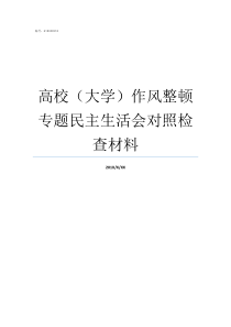 高校大学作风整顿专题民主生活会对照检查材料