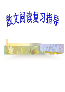 散文总汇