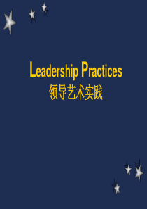 25成功项目经理系列教程―领导艺术实践