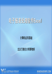 Excel电子表格处理-电子报表处理软件Excel