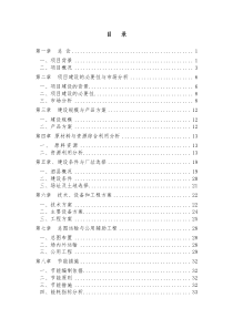 项目可行性研究报告（DOC63页）