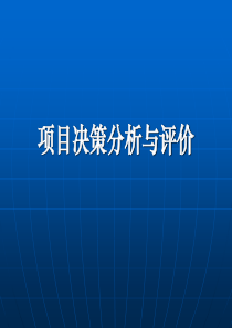 项目决策分析与评价(1075页完整汇总)