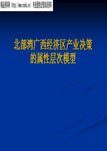 北部湾广西经济区产业决策的属性层次模型(PPT32页)