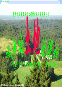 新教科版五年级上册科学3.8减少对土地的侵蚀