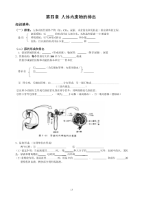 七年级下册生物--泌尿系统复习学案和测试题