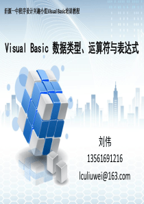 Visual-Basic-数据类型、运算符与表达式