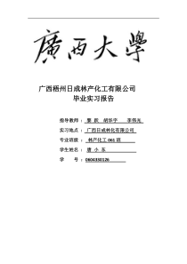 唐小东日成林化松香厂毕业实习报告