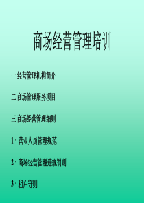 商场经营管理（PPT 114页）