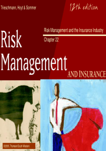 Risk Management and the Insurance Industry Chapter