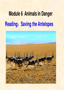 Saving_the_Antelopes