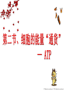 ATP1-高中一年级生物课件