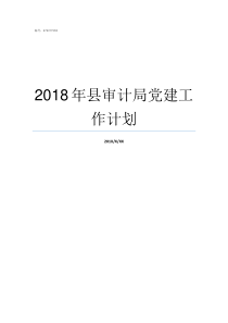 2018年县审计局党建工作计划