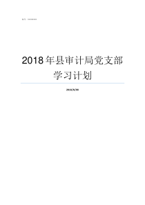 2018年县审计局党支部学习计划