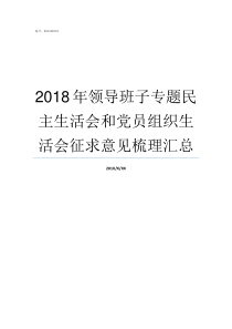 2018年领导班子专题民主生活会和党员组织生活会征求意见梳理汇总国家新任领导班子2018简介