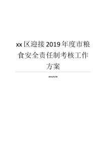 xx区迎接2019年度市粮食安全责任制考核工作方案2019年