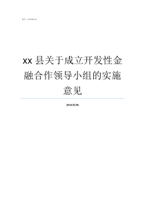 xx县关于成立开发性金融合作领导小组的实施意见成立开发公司的步骤