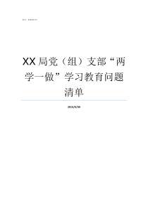 XX局党组支部两学一做学习教育问题清单党XX伐