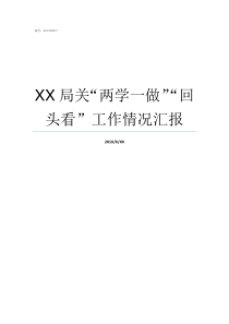 XX局关两学一做回头看工作情况汇报XX不X成语