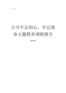 公司不忘初心牢记使命主题教育调研报告牢记初心不忘使命发言材料