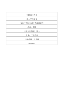 JM电子有限公司经营战略研究